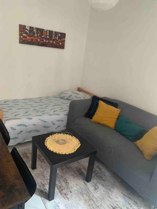 Dijon: Superbe Appartement En Hyper Centre ภายนอก รูปภาพ